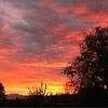 morningstar771